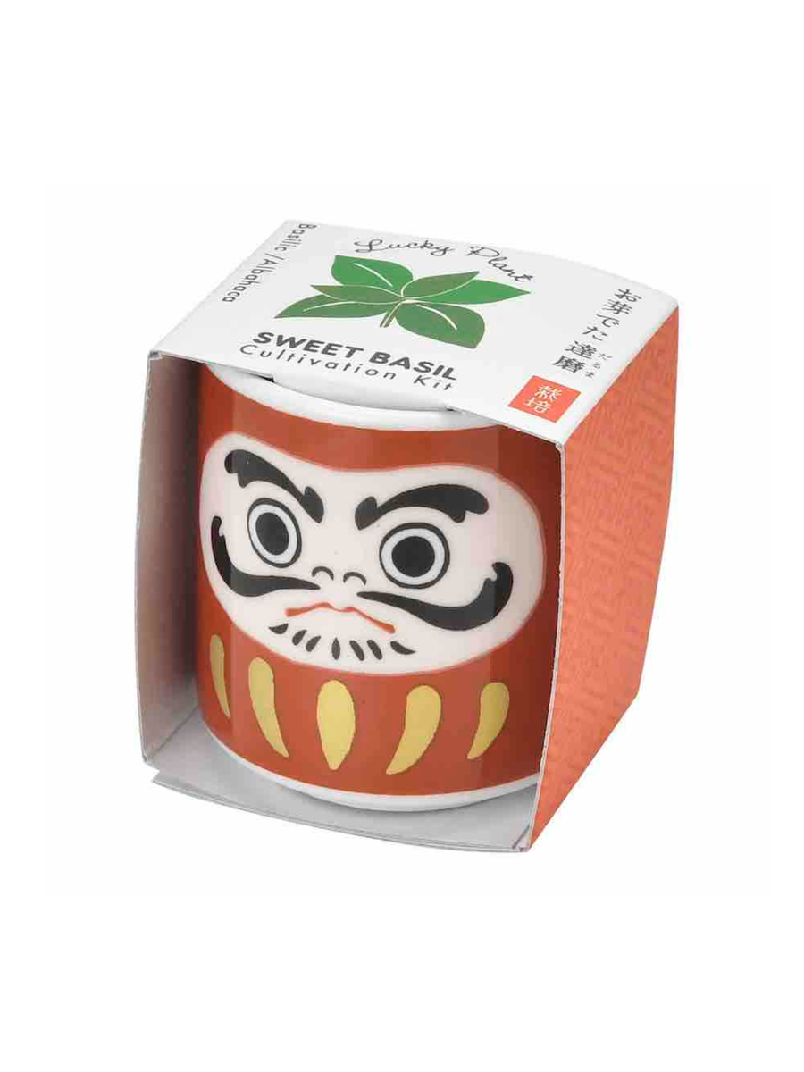luckyplant_daruma_1200x1200.