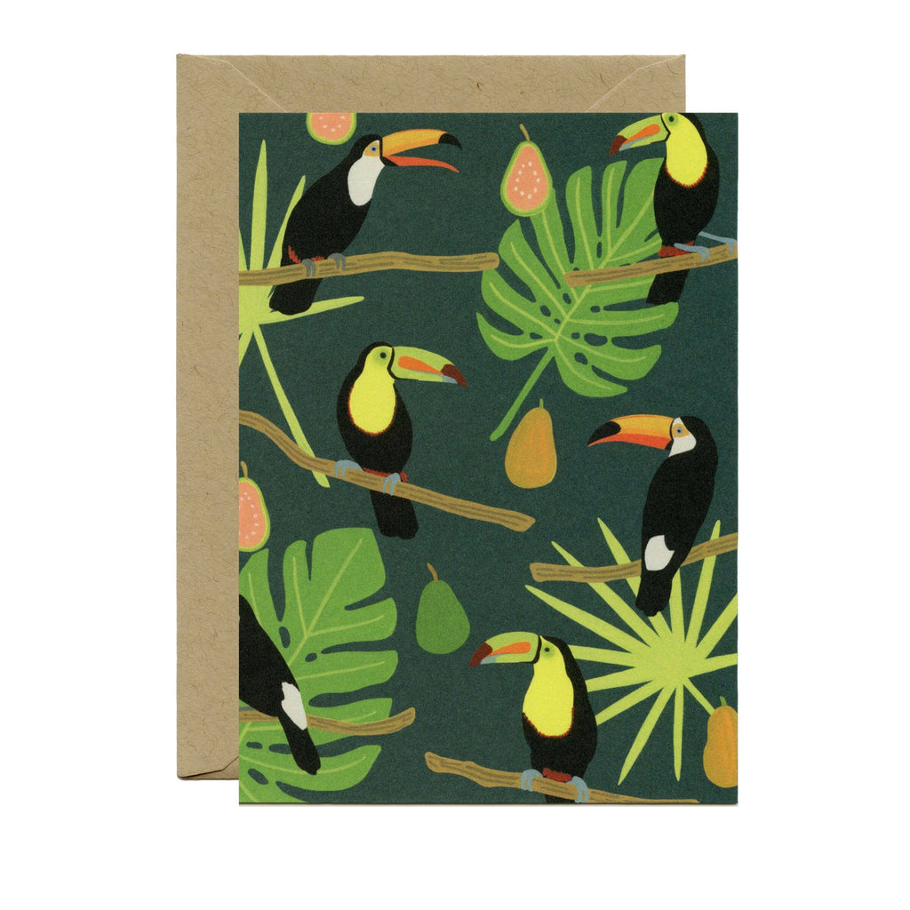 Toucans Wild Jungle Any Occasion Card - Boxed Set of 8