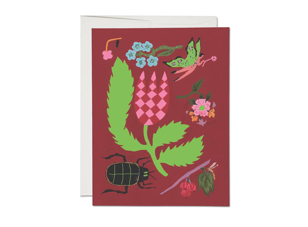 Garden Fairy Boxed Set