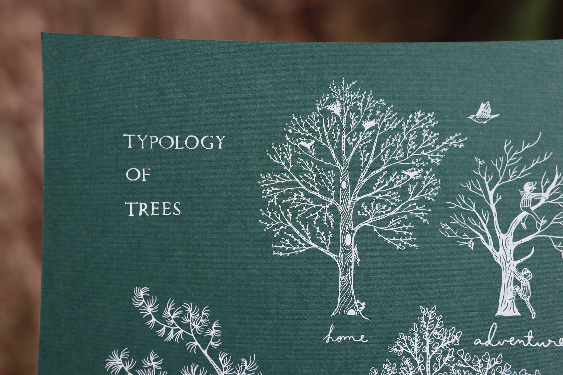 Typology of Trees Screen-Print