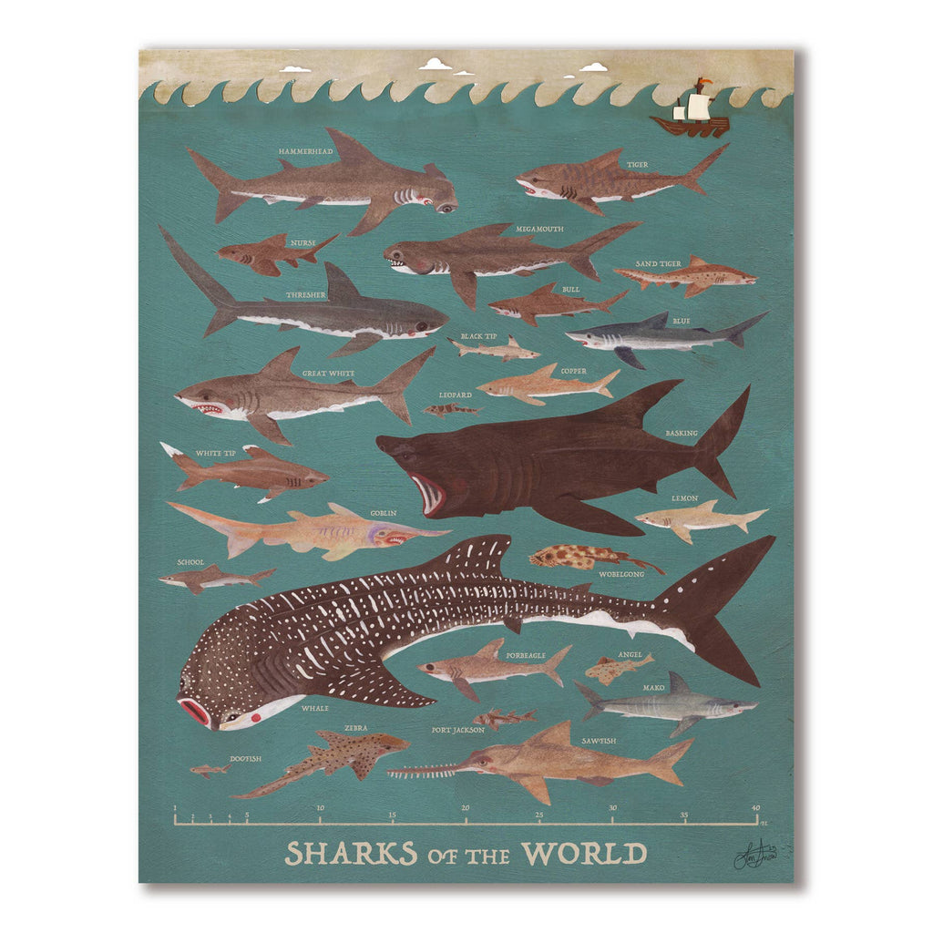 Sharks of the World Print