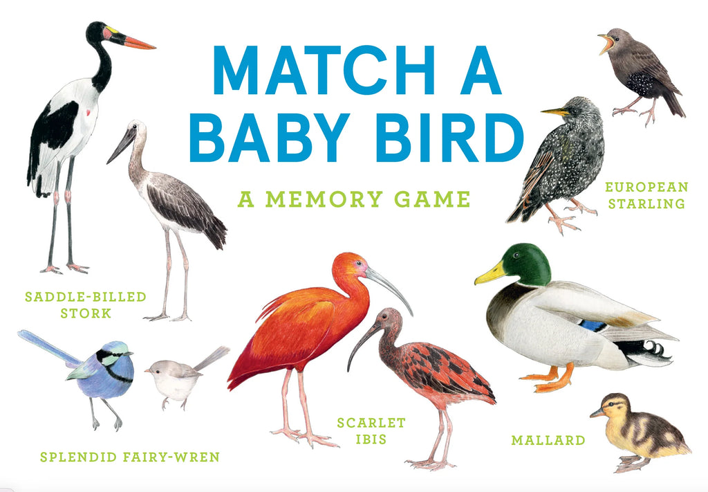 Match A Baby Bird: A Memory Game