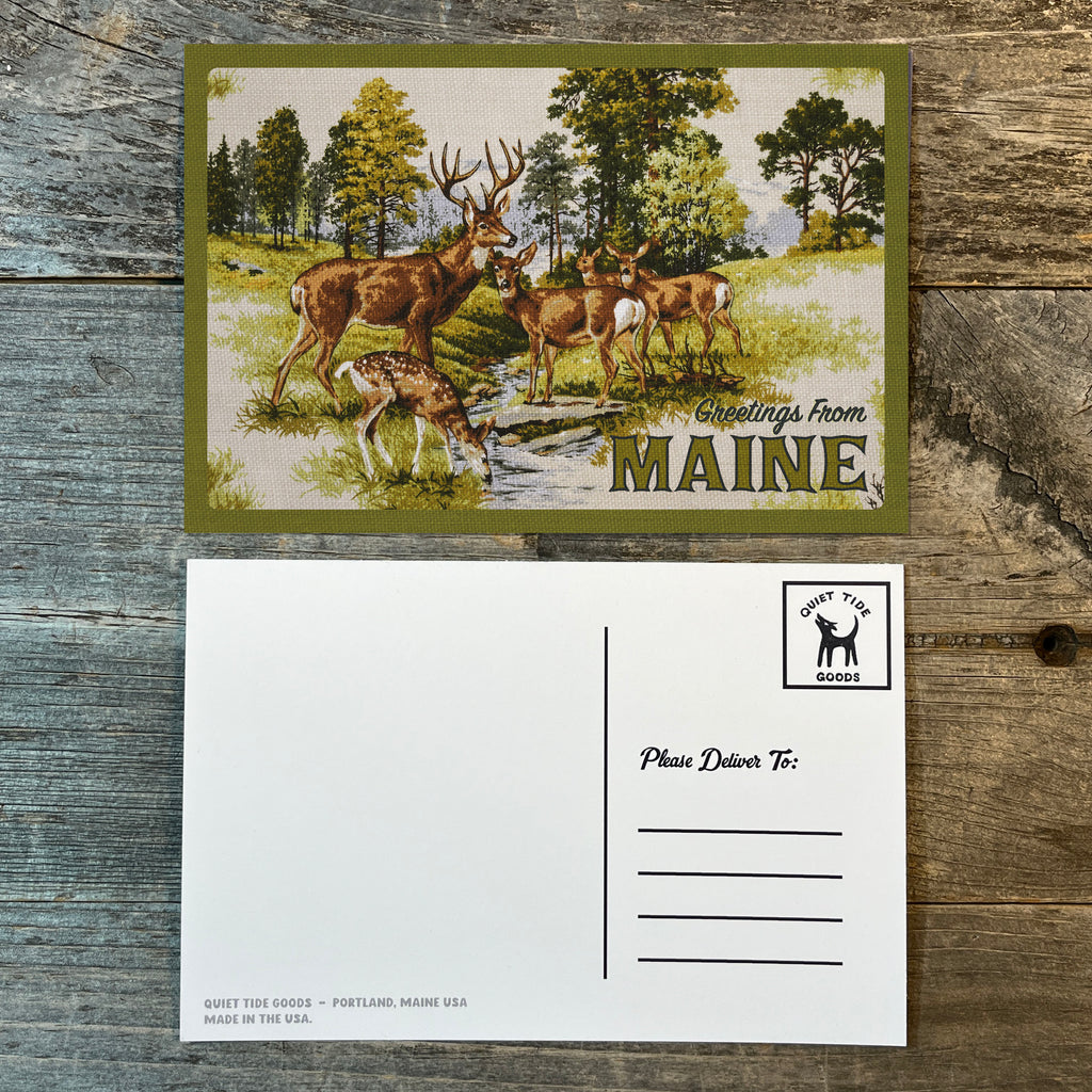 Greetings From Maine Deer Family Postcard