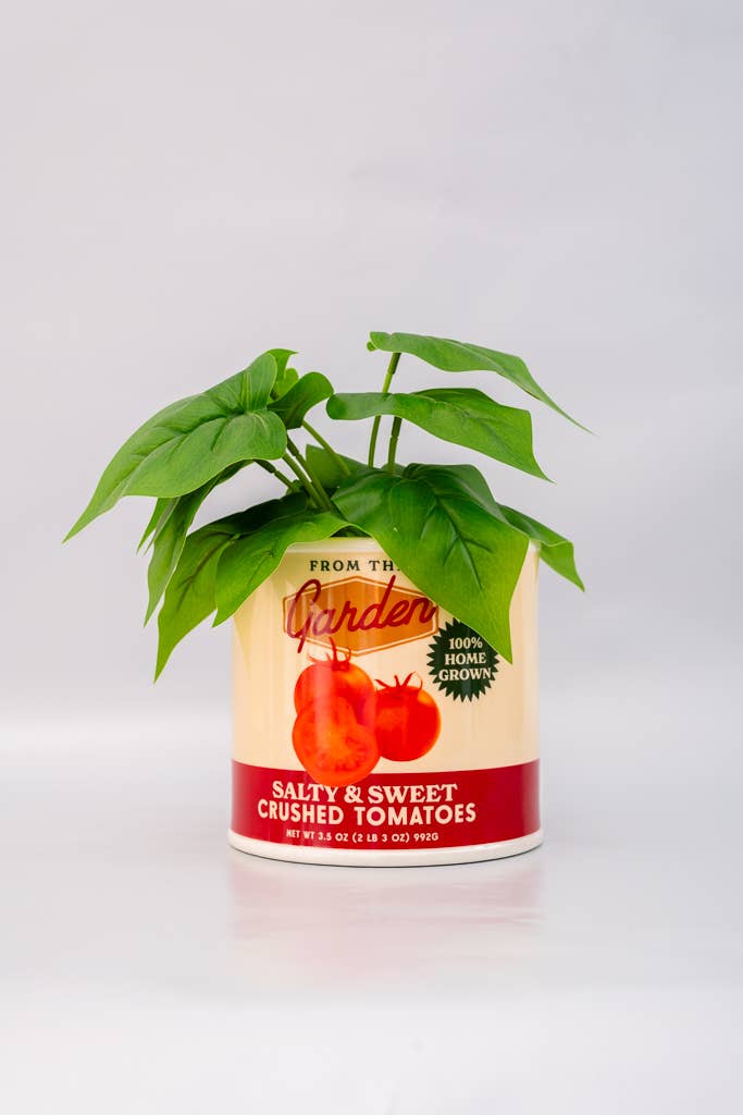 Ceramic Vase Tomato Can