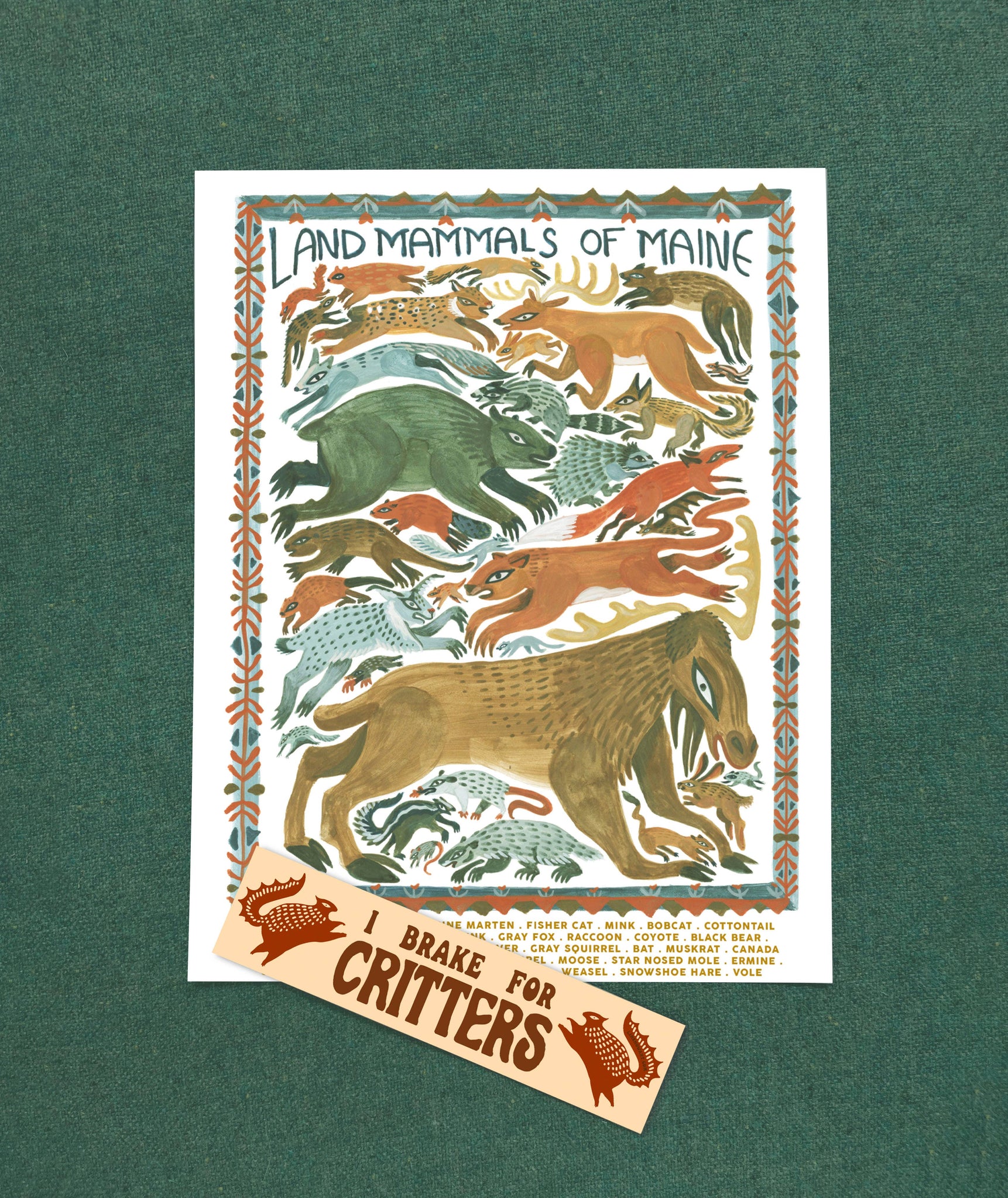 Land Mammals of Maine Print