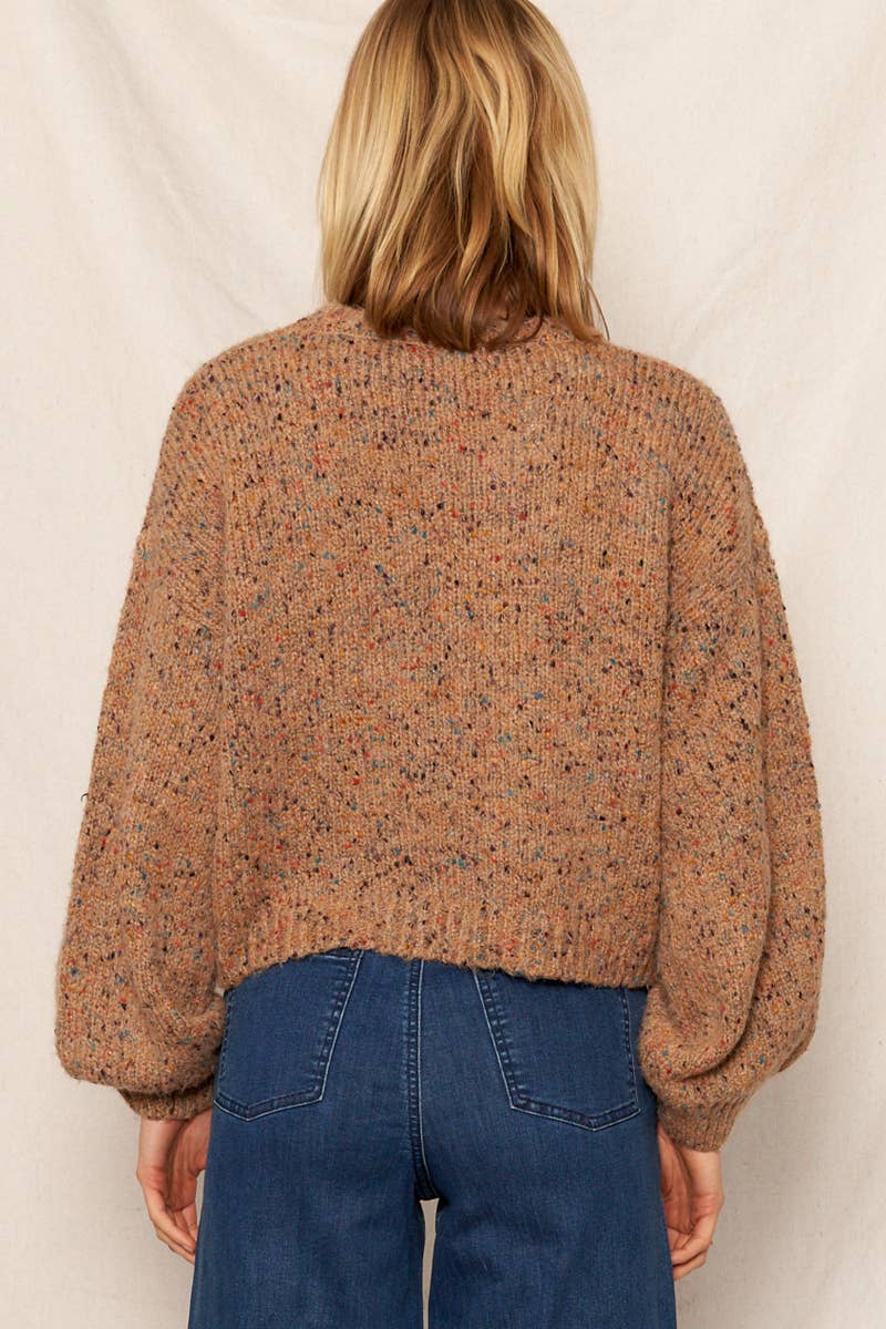 Taupe Confetti Cropped Sweater