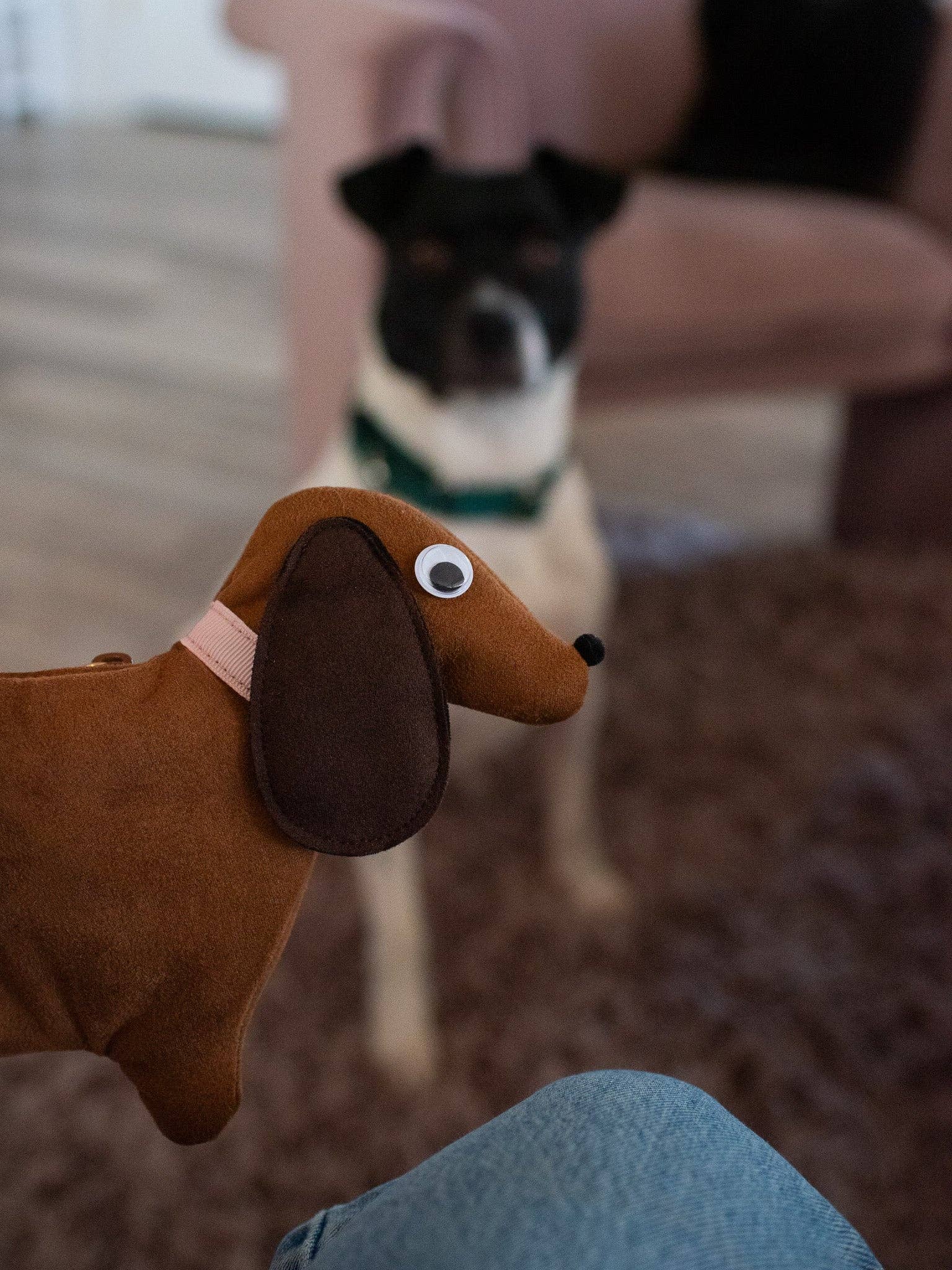 Dachshund Smell Proof Bag