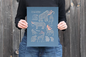 Extinct Mammals of New England Screen-Print
