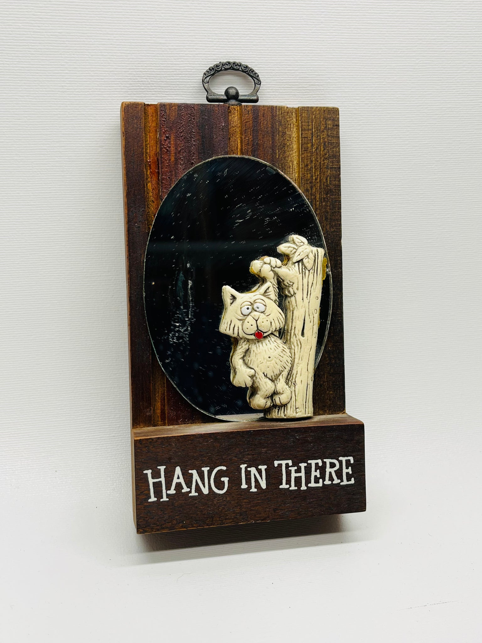 Hang in There Wall Mirror