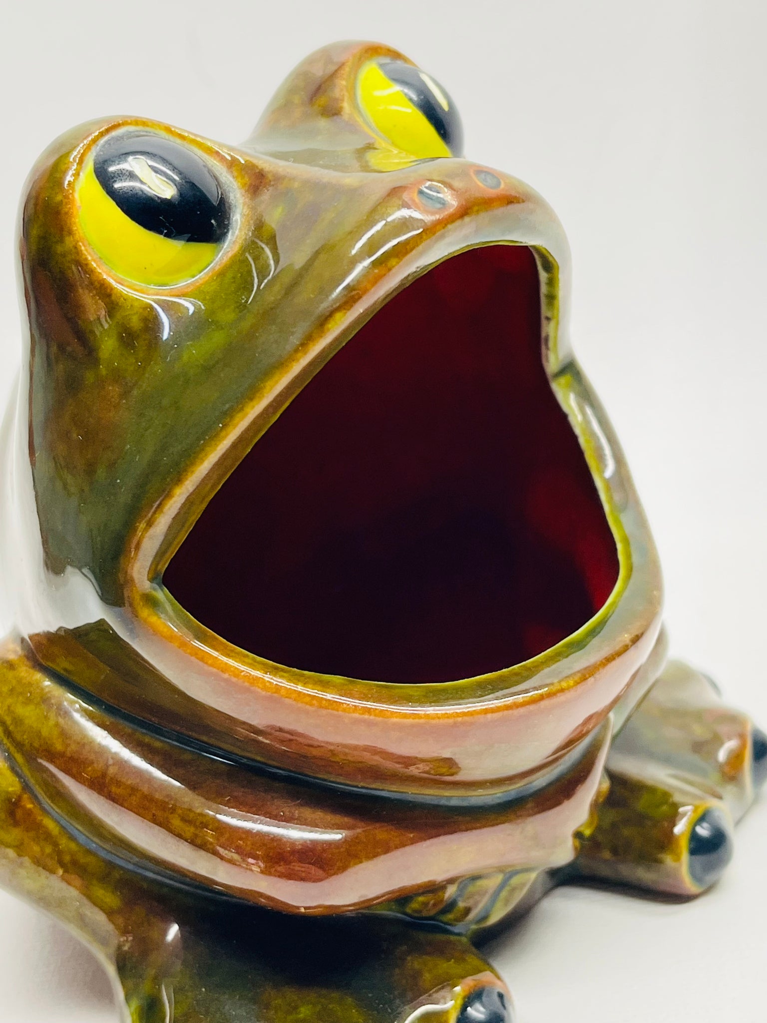 Ceramic Dish Frog