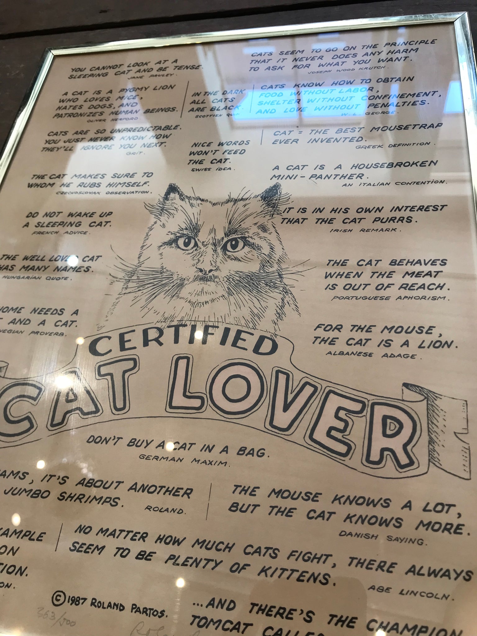 Certified Cat Lover Poster in frame