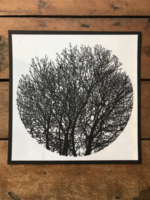 No Visitors - Tree Silhouette 12.5x12.5in Screen Printed Art by Kris Johnsen