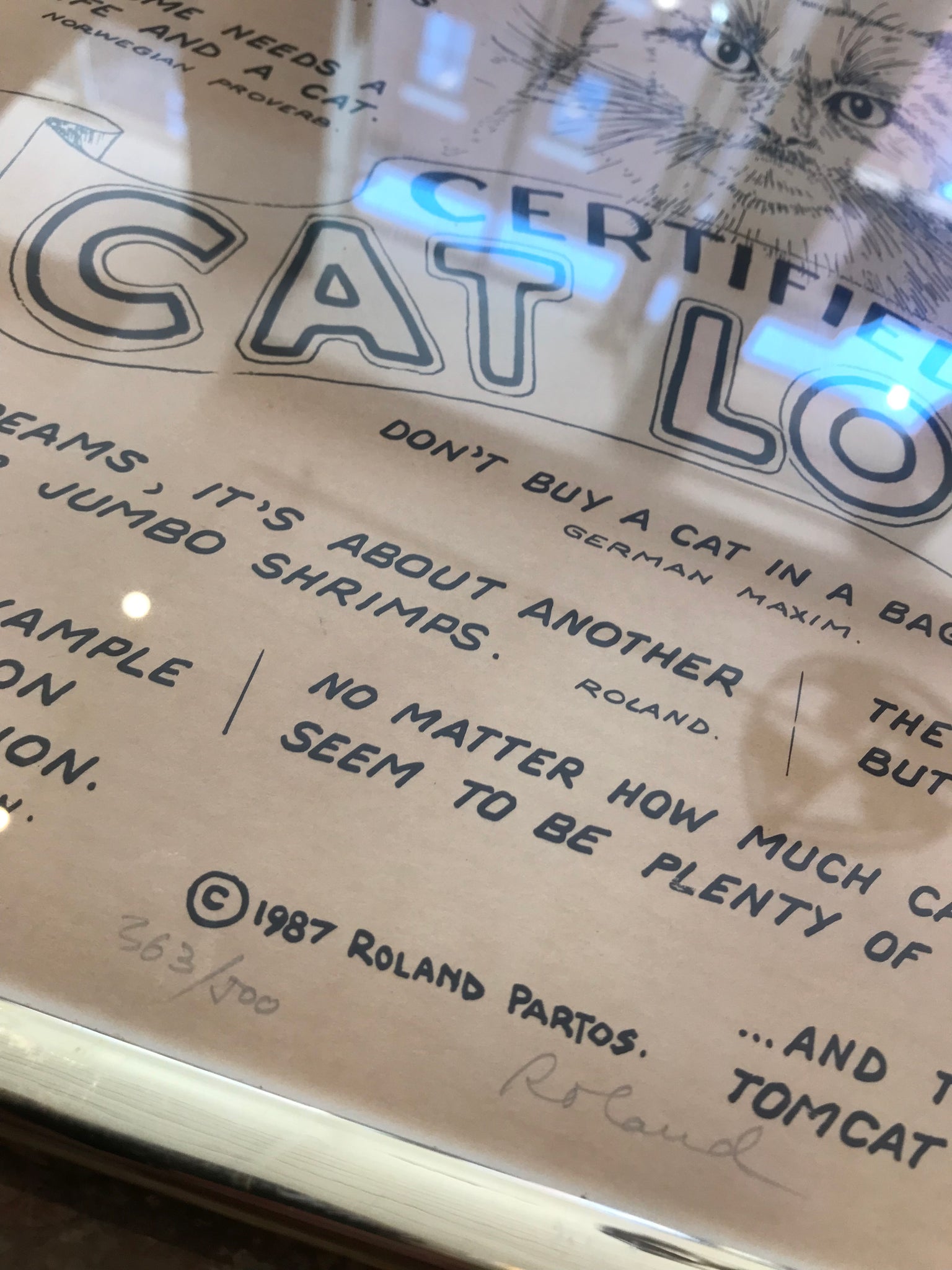 Certified Cat Lover Poster in frame
