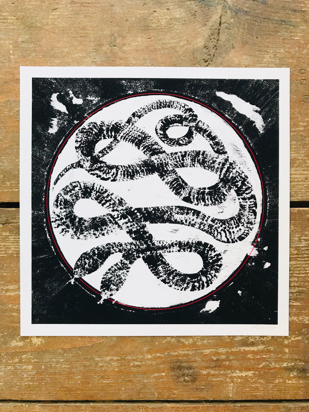 Two Headed Snake 8x8in Giclee Print