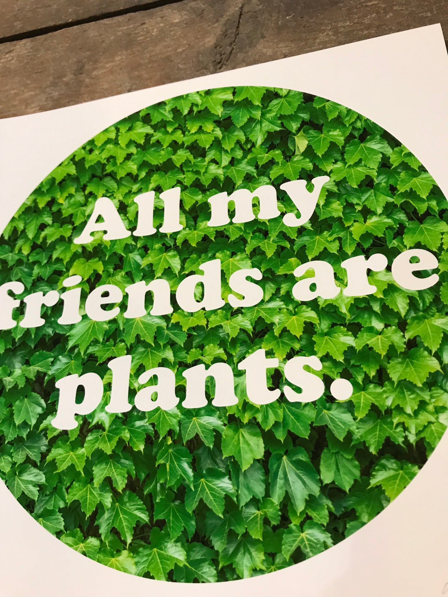 All My Friends Are Plants 8” by 8” Giclee Print by Kris Johnsen