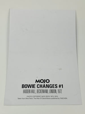 David Bowie Print