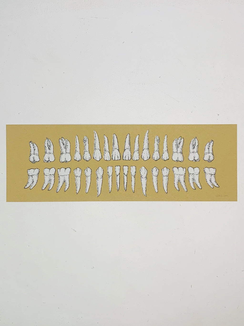 White Teeth 5” by 15” Screen Print by Kris Johnsen