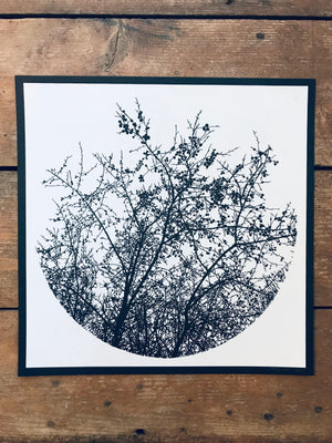 Time Forgot - Tree Silhouette 12.5x12.5in Screen Printed Art by Kris Johnsen