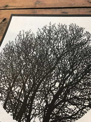 No Visitors - Tree Silhouette 12.5x12.5in Screen Printed Art by Kris Johnsen