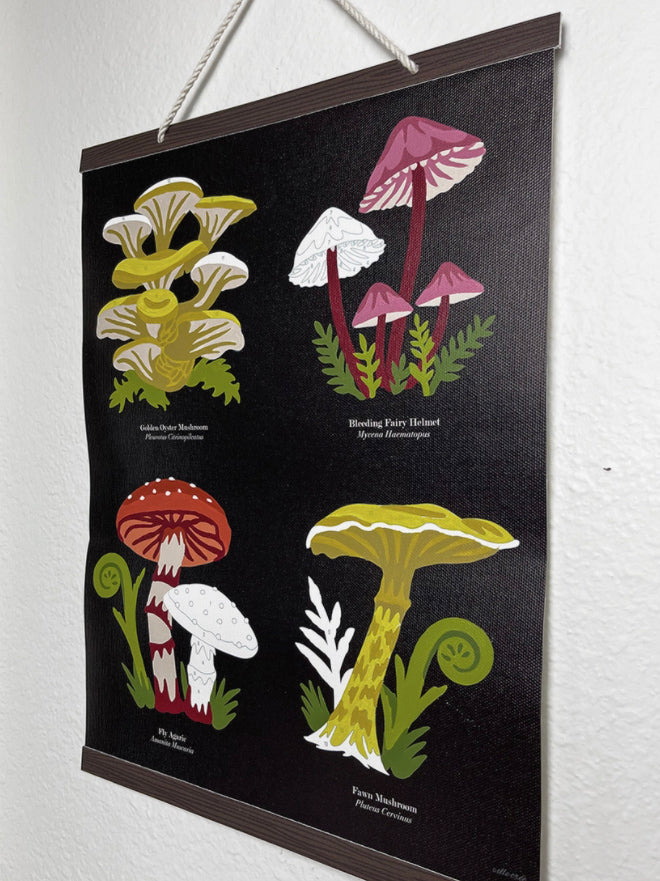 Mushroom Taxonomy Paint-by-Number Kit