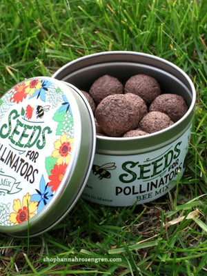 Seeds for Pollinators