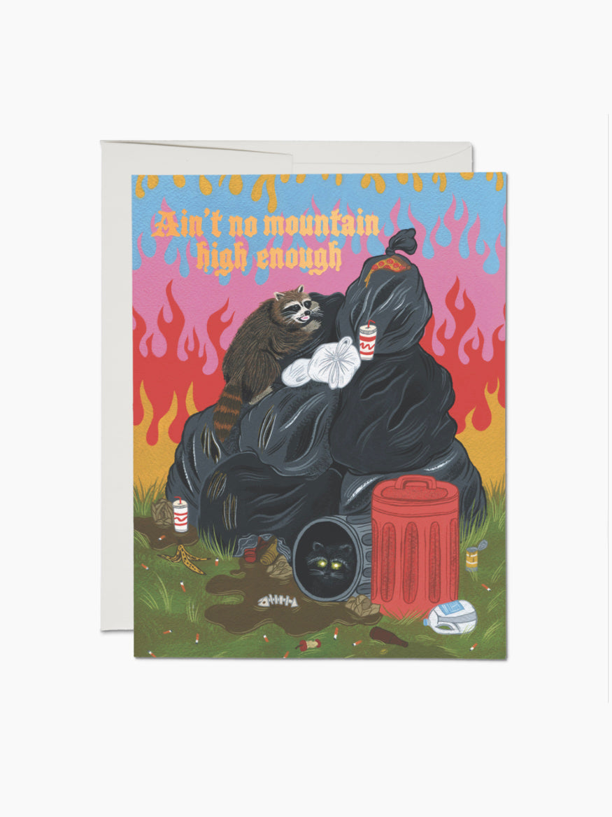 Raccoon Fun Card