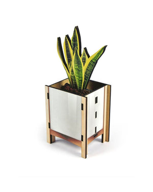 Faux Snake Pop Up Plant