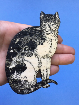 Weird Cat Magnet